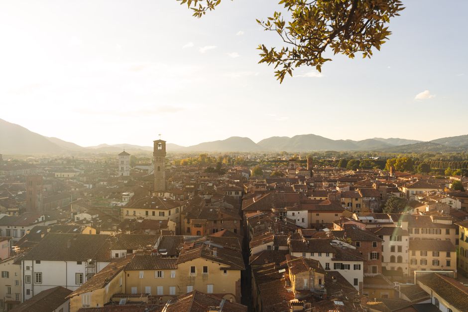 Lucca's towers and rooftops at sunset